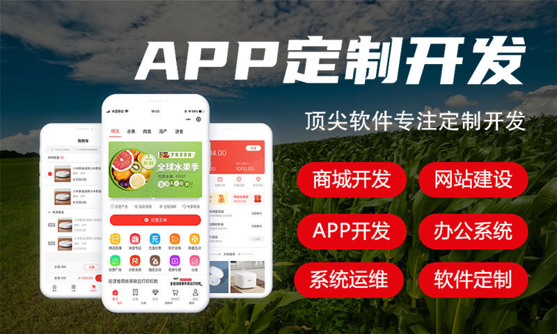 河南汽车系统解决方案与功能计划书