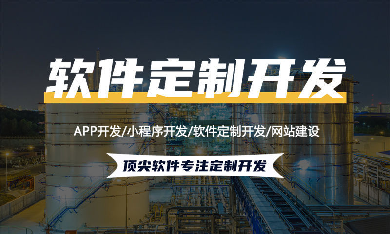 大庆项目管理系统解决方案与功能计划书