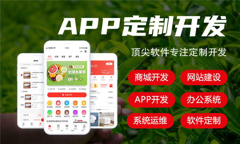 湖北餐饮系统解决方案与功能计划书