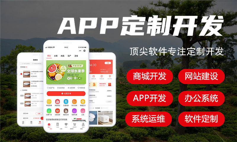江门餐饮系统解决方案与功能计划书