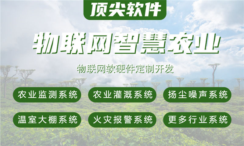 南京物联网系统开发解决方案：多场景智能监测与管理功能计划书