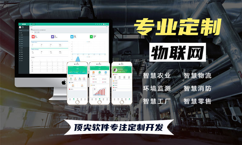 南京物联网系统开发解决方案：多场景智能监测与控制平台功能计划书