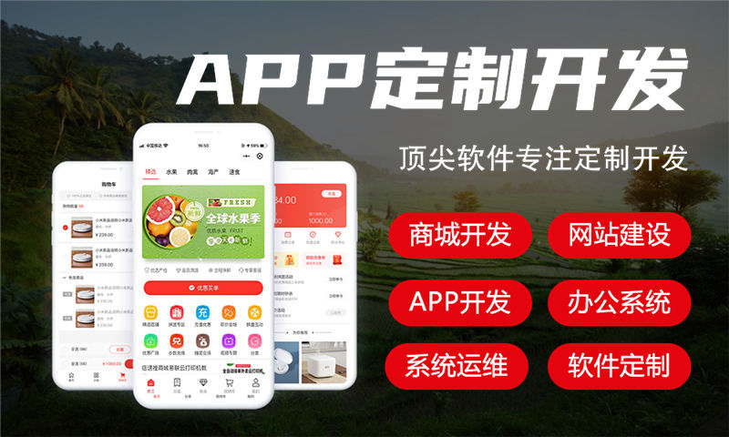 南京商家让利模式开发解决方案：激活市场增长的智能软件系统