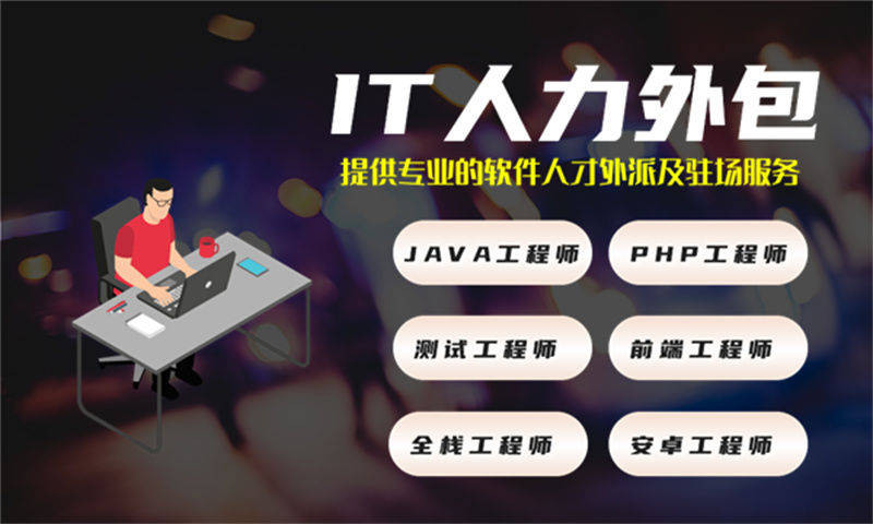 西藏专职软件开发人员驻场:破解企业技术人才困境的高效解决方案