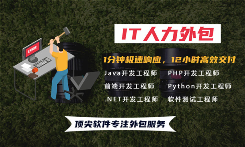 西藏程序员驻场服务：破解企业技术团队搭建难题的高效解决方案