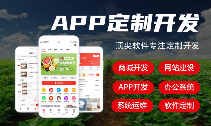 西藏项目经理驻场:破解企业技术团队搭建难题的高效解决方案