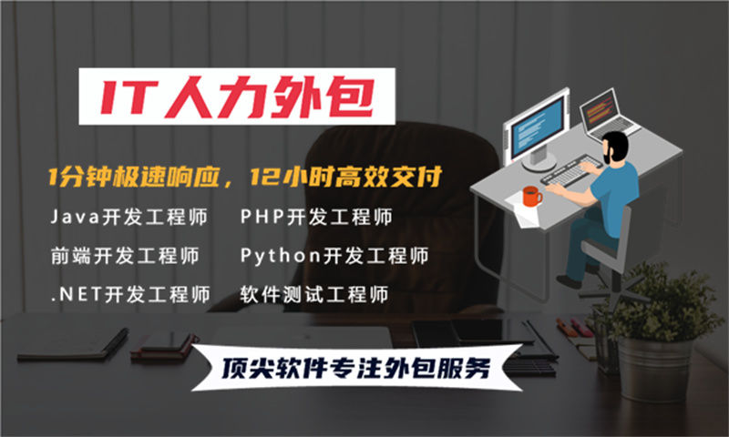 西藏IT驻场开发公司哪家好?选择专业外包服务商助力企业高效发展