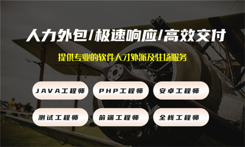 西藏大数据开发驻场：破解企业技术人才缺口难题的高效解决方案