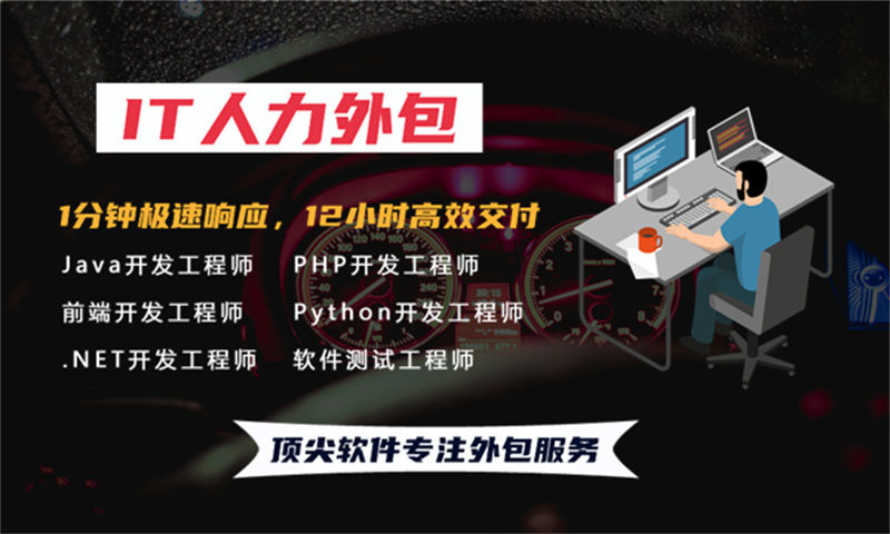 西藏程序员企业驻场开发:破解企业技术团队搭建难题的高效解决方案