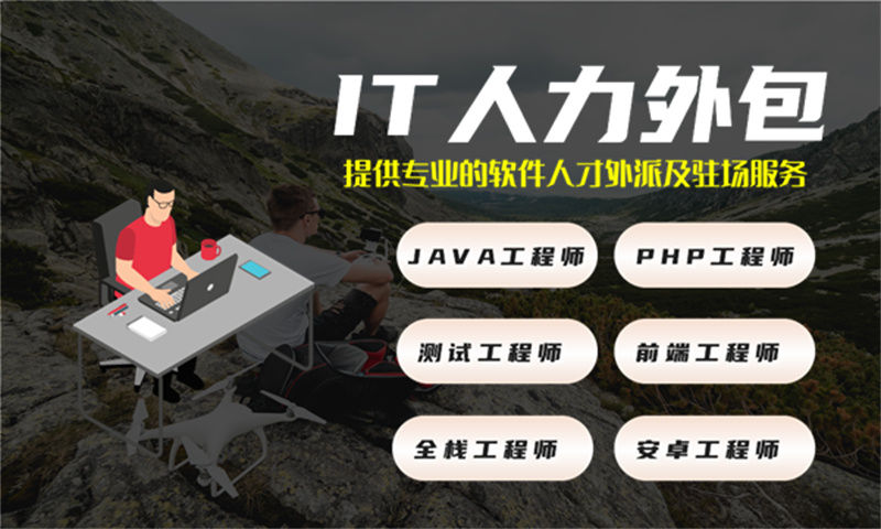 西藏程序员定制驻场开发:破解企业技术团队搭建难题的高效解决方案