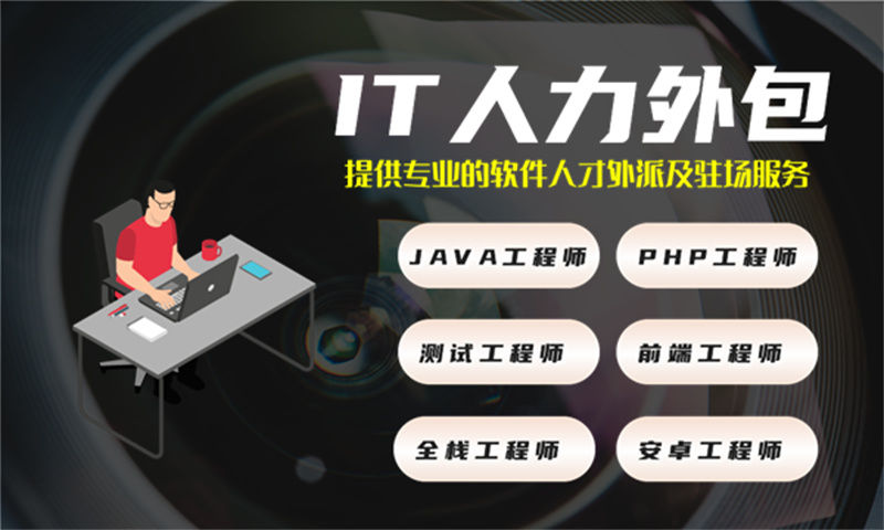 西藏IT项目驻场人力外包:破解企业技术人才短缺难题的高效解决方案
